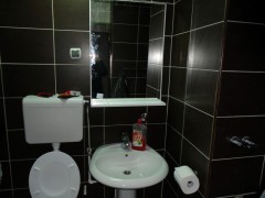 Šta kada veća količina papira zapuši wc šolju?